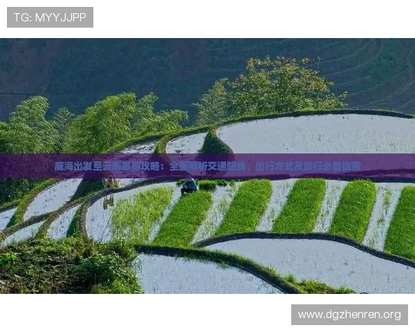 在线博彩行业发展趋势解析与风险防控策略全面指南